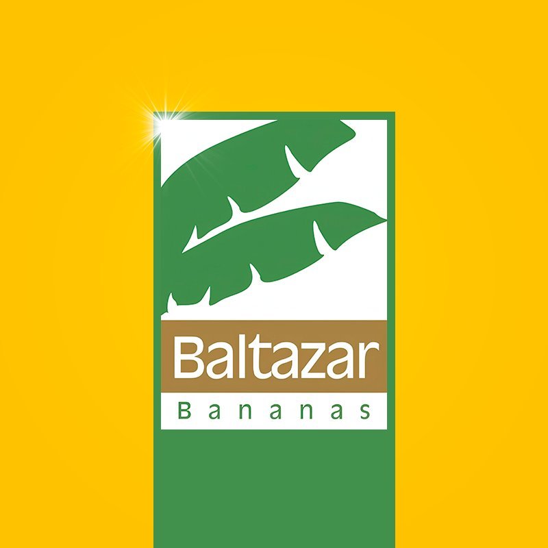 448214563_828847532629955_3212145164164177280_n