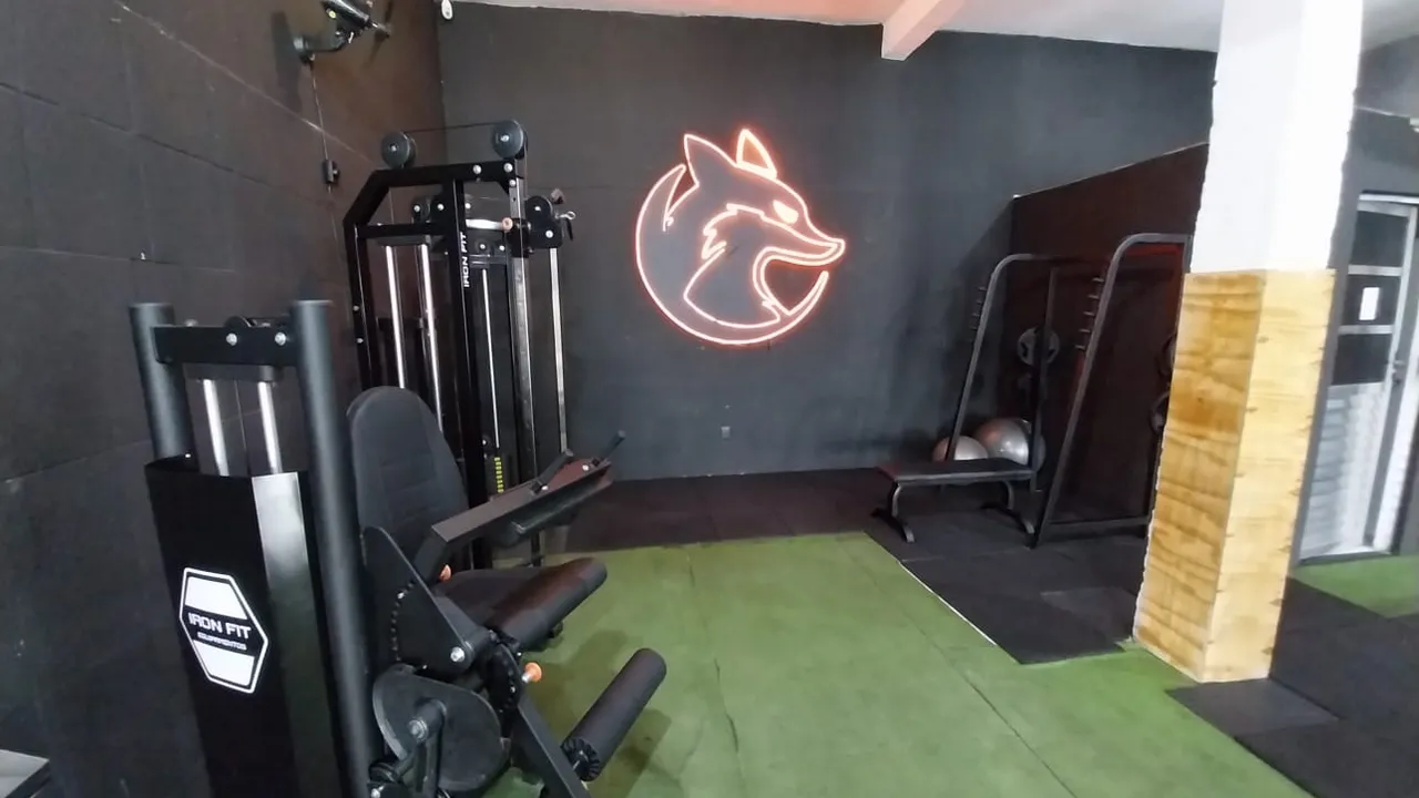 FOX 3