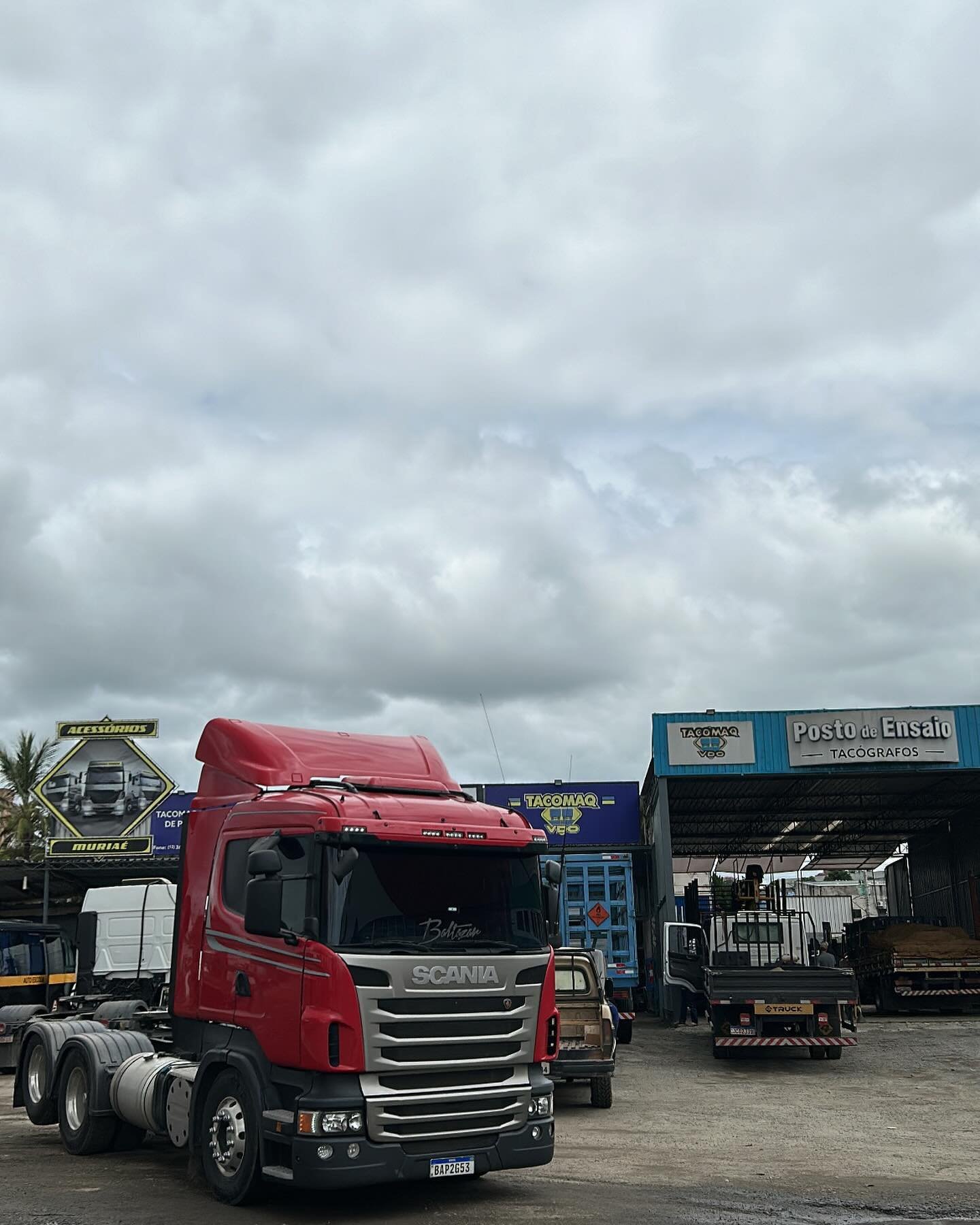 tacomaq_muriae_428032794_206763299152644_1367681922264820645_n