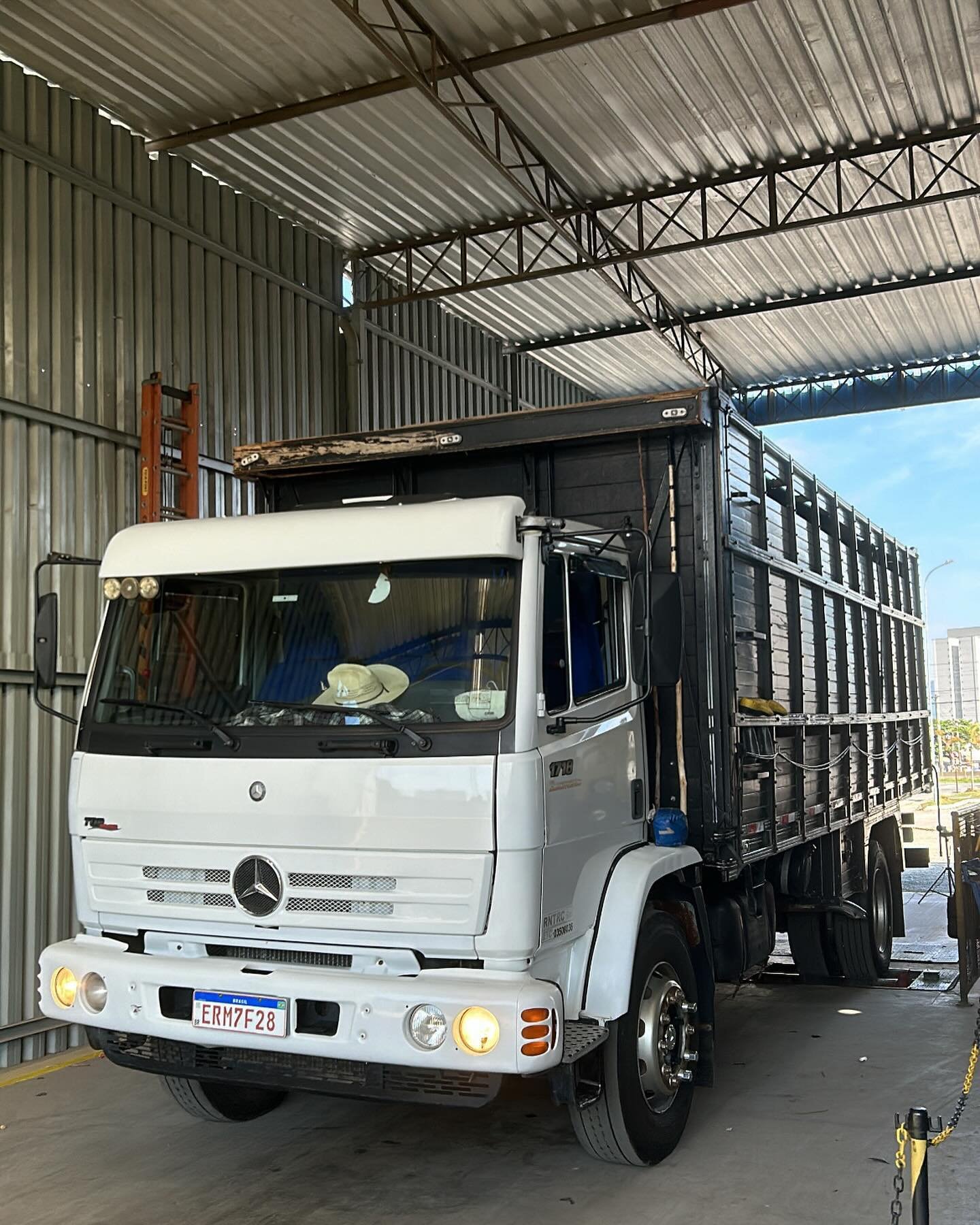 tacomaq_muriae_438504930_7361131553978353_565485447950158784_n