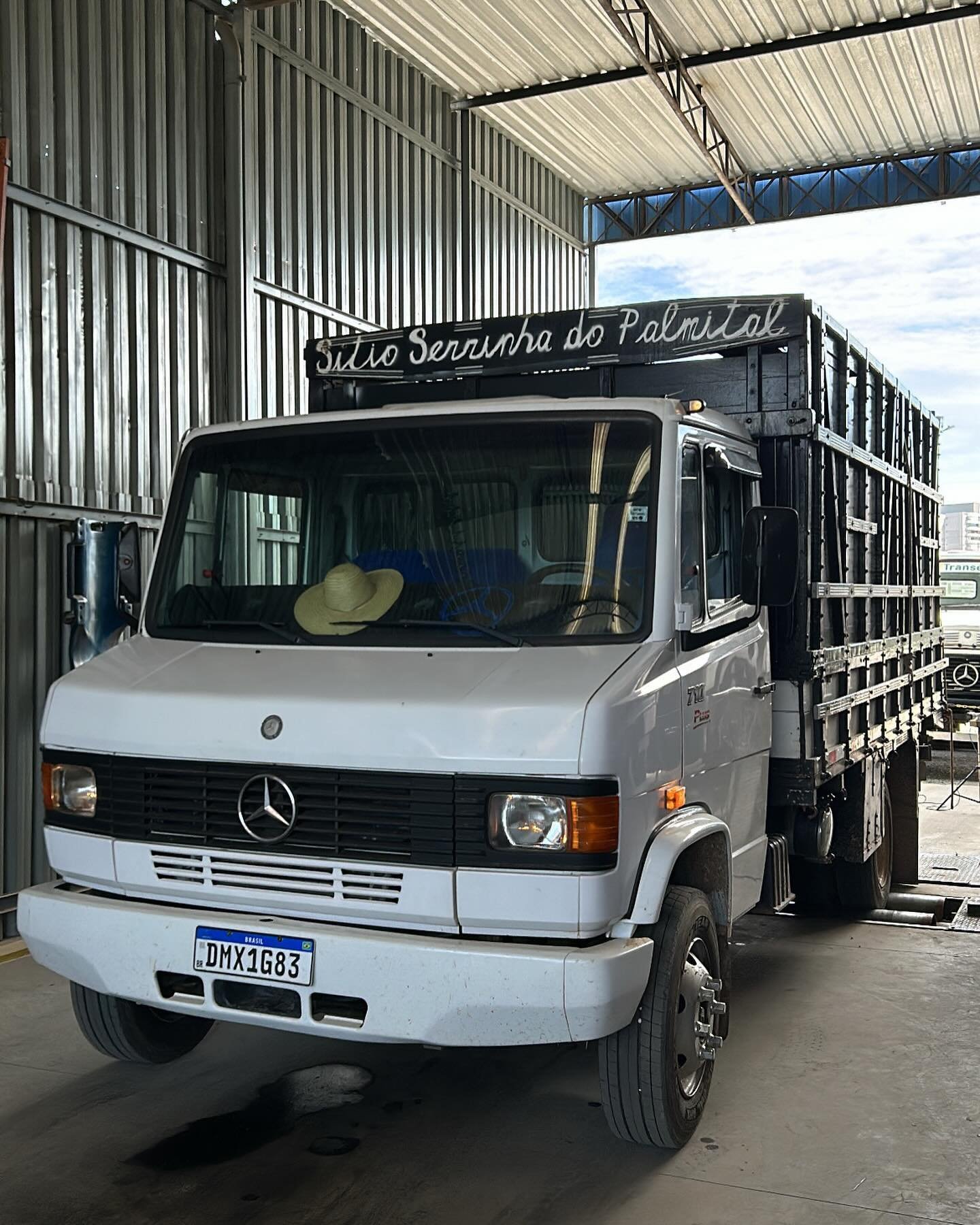 tacomaq_muriae_438884110_460989299616272_6961107688372589306_n