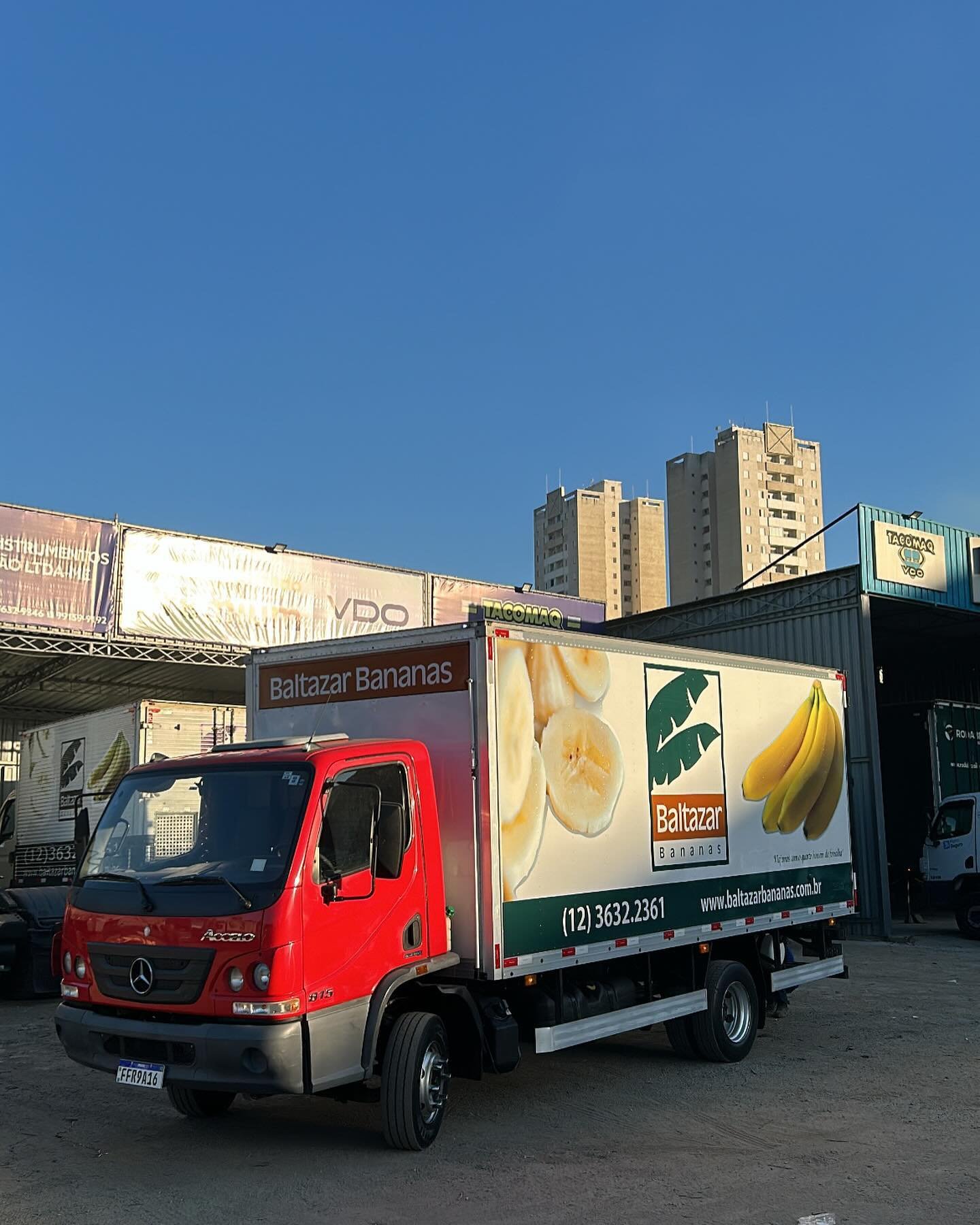 tacomaq_muriae_448236771_1098714211194192_7256445062302365368_n