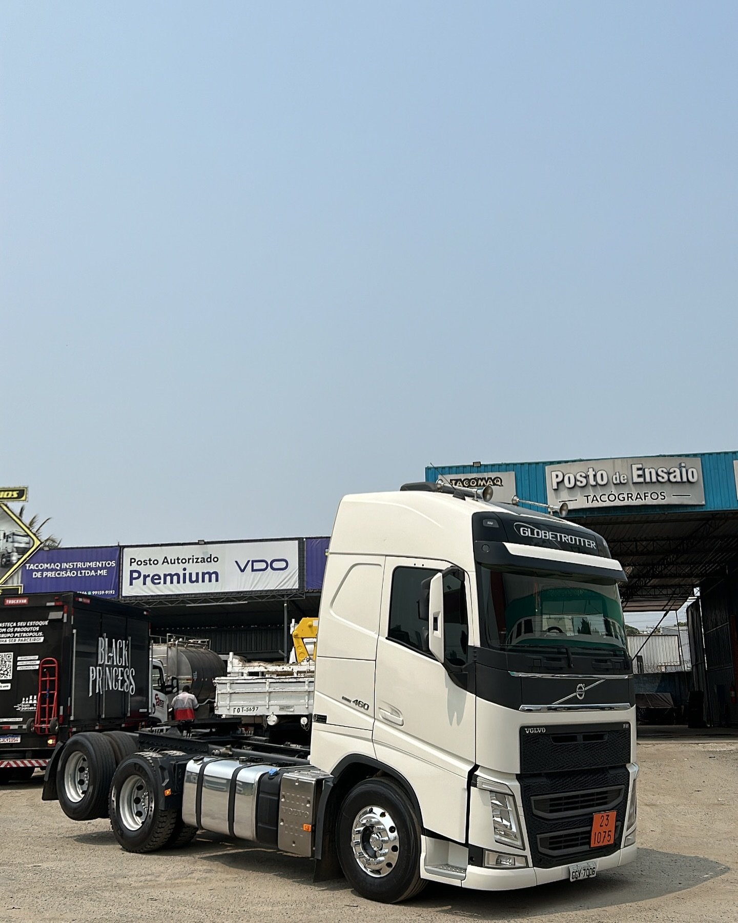 tacomaq_muriae_461055611_8323139664419793_1843420565847119512_n